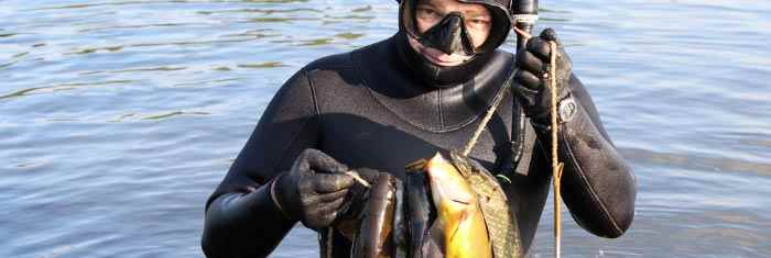 Spearfishing-species-guide