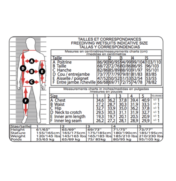 Epsealon wetsuit size chart