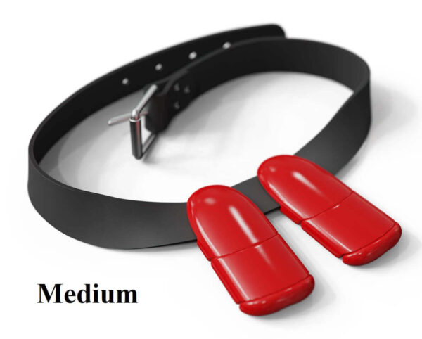 Lobster weight belt medium red