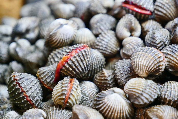 Cockles