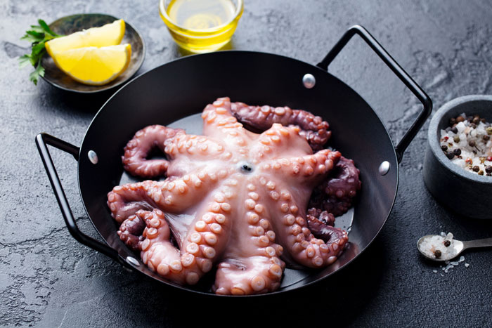 Octopus