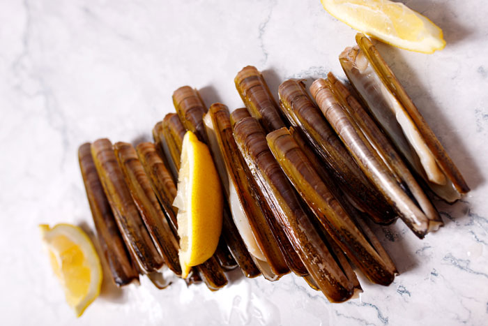 Razor clams