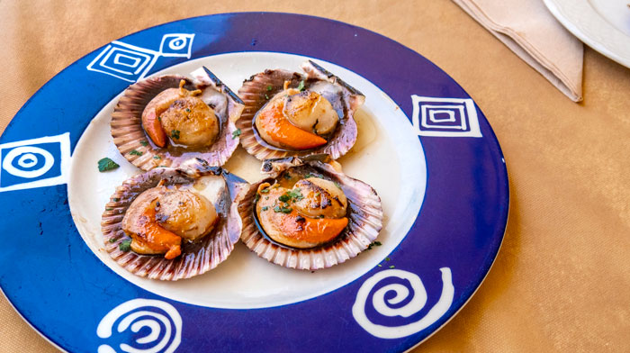 Scallops