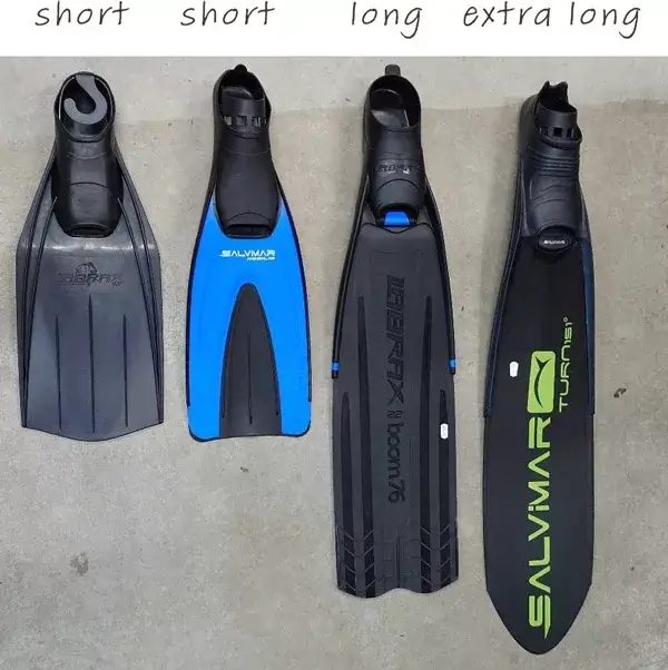 Fin size comparison - short, long, extra long